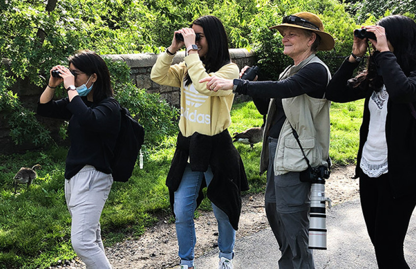 Four women in the park birding - one pointing, three looking through binoculars