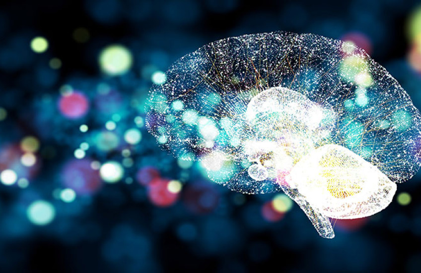 brain and light