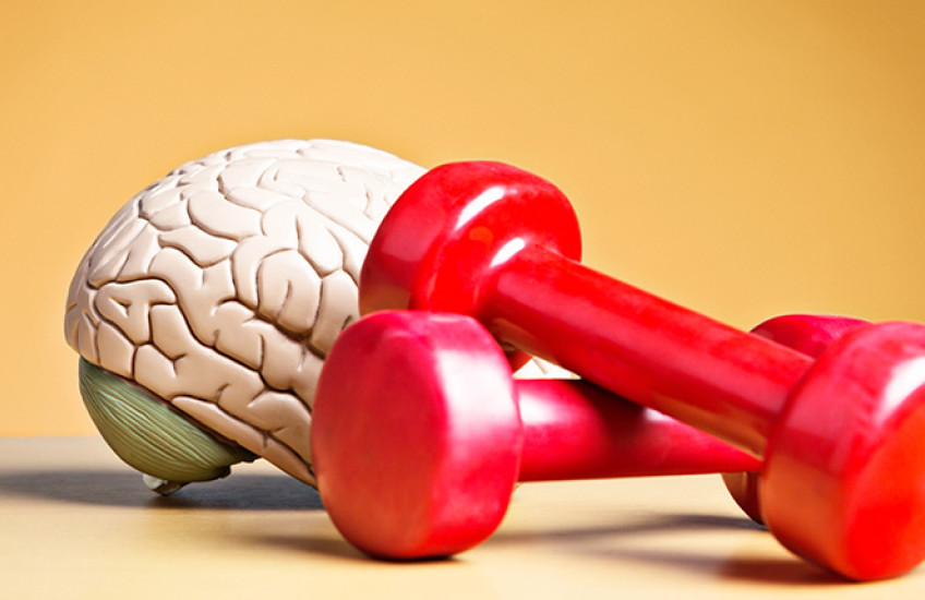 brainexercise