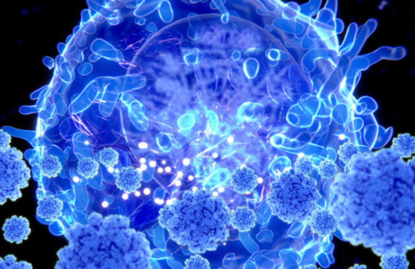 Close-up of a T cell attacking a virus