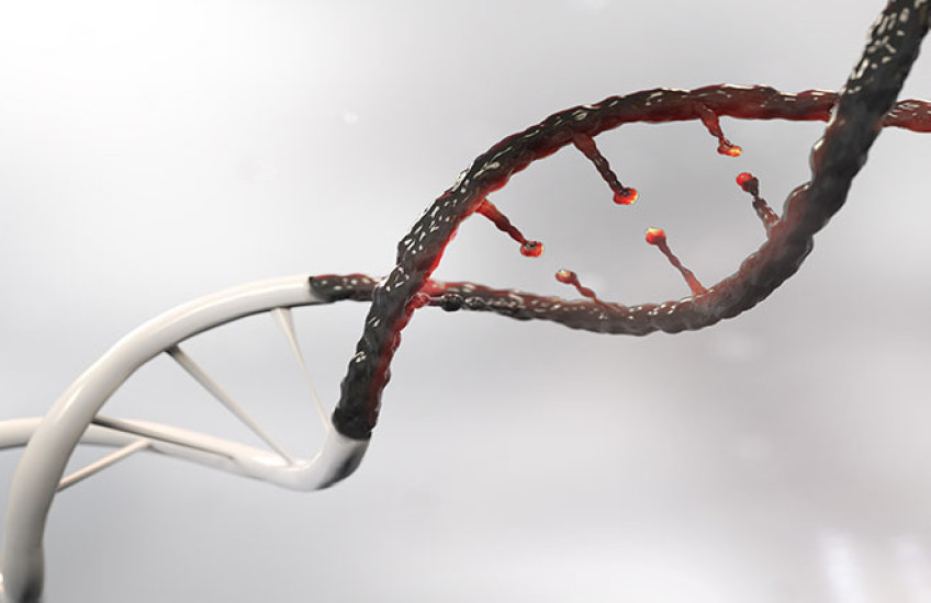 Cancer DNA