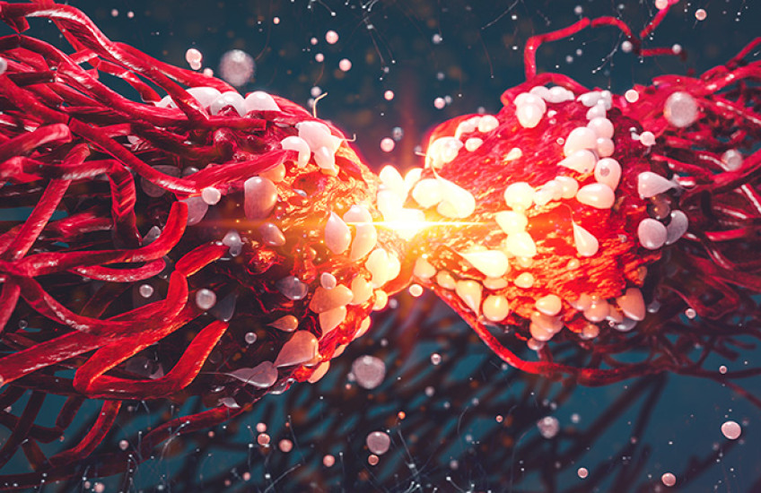 colorful illustration of a cancer cell dividing