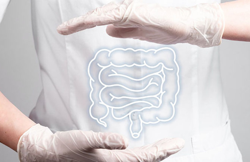 Closeup of a colon against a physicians' white coat and white gloves