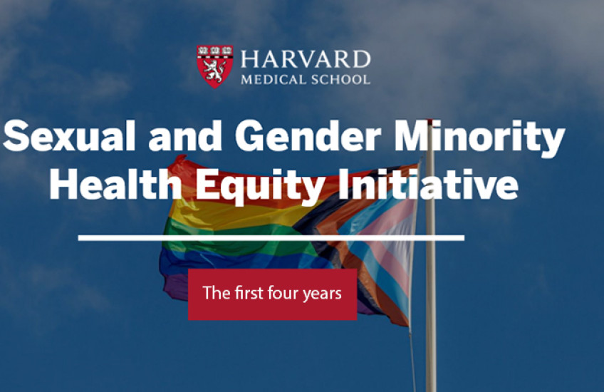 pride and trans flag waves in background. over it is the HMS logo and the title "Sexual and Gender Minority Health Equity Initiative." below in a red box it says "the first three years."
