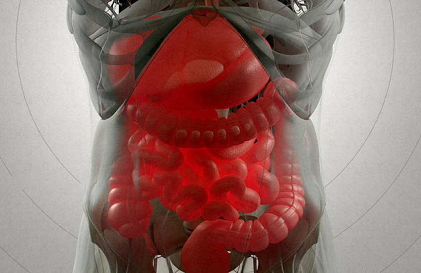 digital xray image of the gut