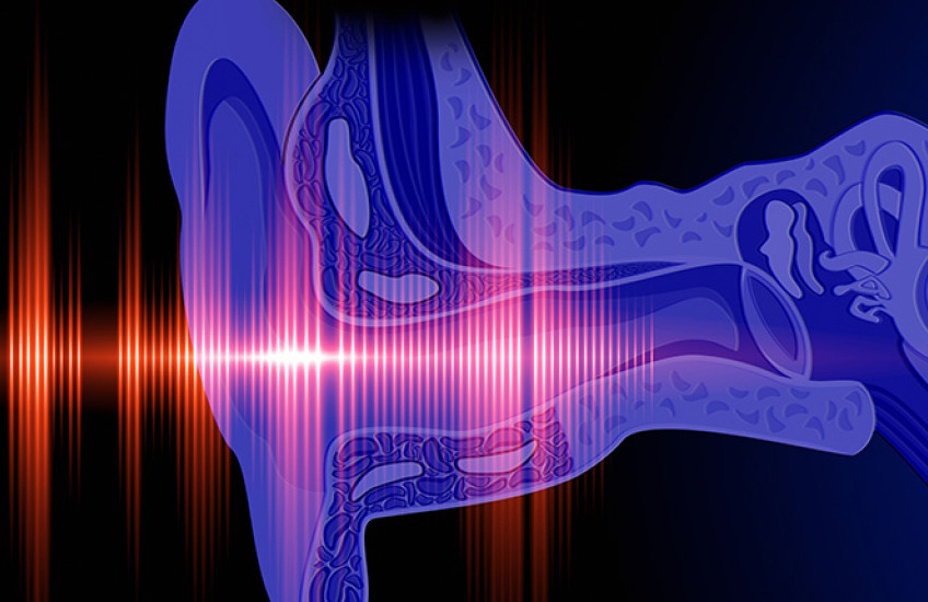 digital illustration of a sound wave and the inner ear