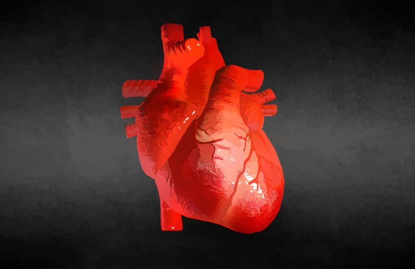 heart