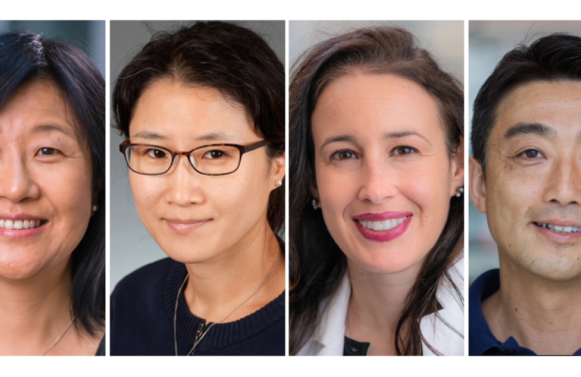 Collage of photo headshots of Gu, Her, Kadoch, and Kajimura