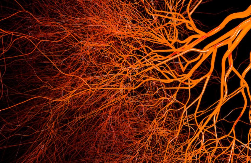 Stylized image of blood vessels
