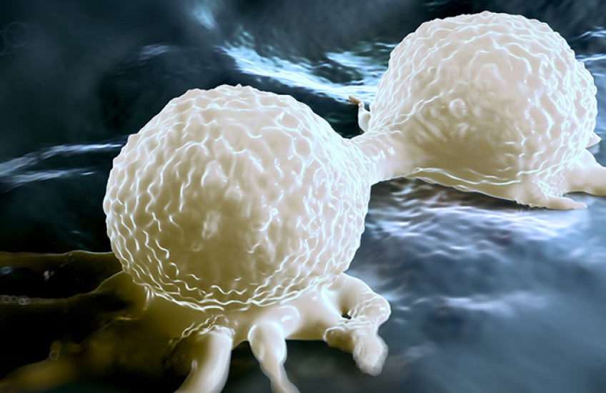 artist's rendition of two cancer cells