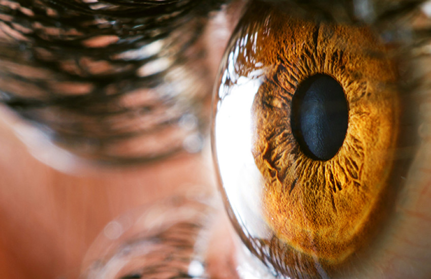 close up of brown eye