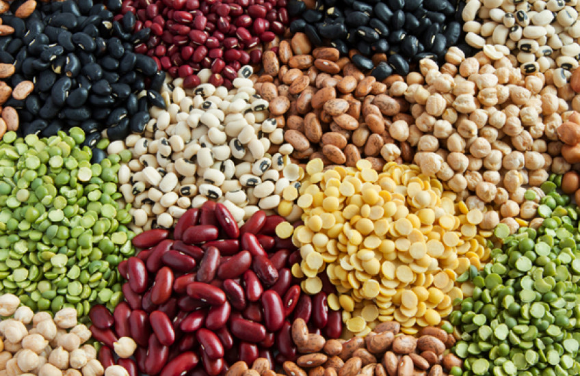 Variety of legumes