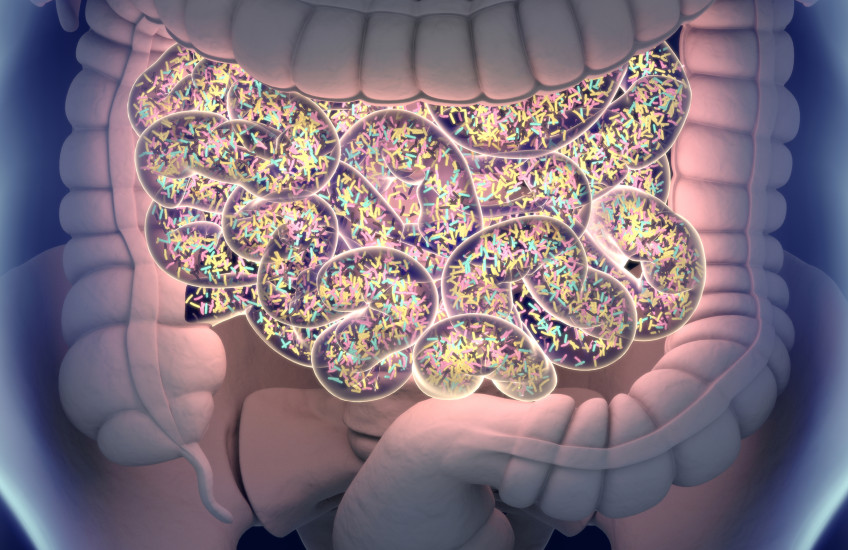Image of Microbiomes