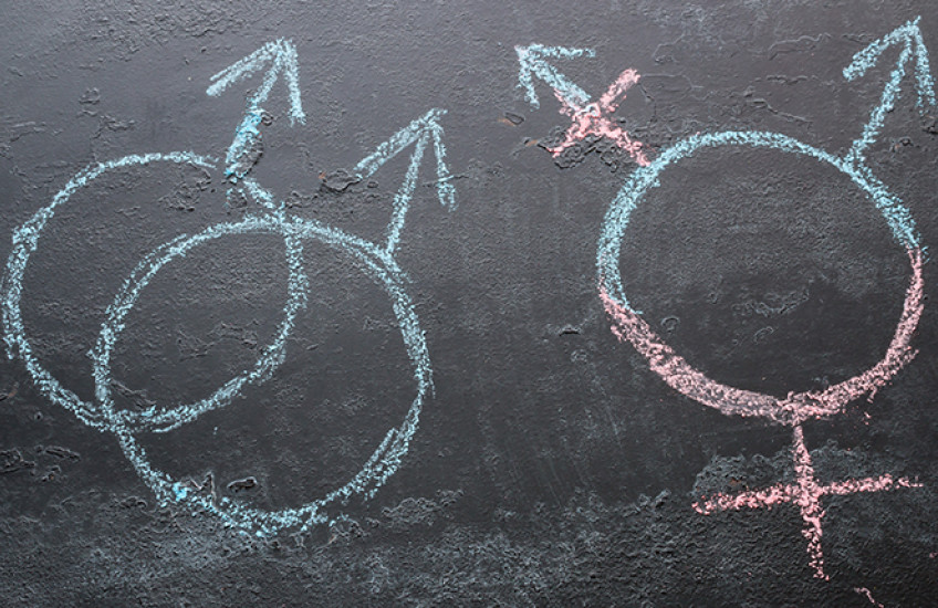 chalkboard with symbols of transgender and homosexual identities