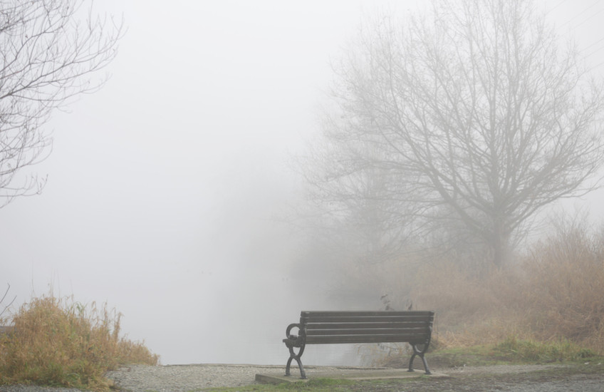 Empty bench in foggy park