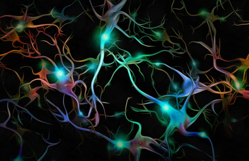 colorful digital illustration of brain cells firing on black background