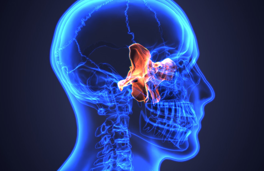 digital X-ray vision of skull with sinuses highlighted