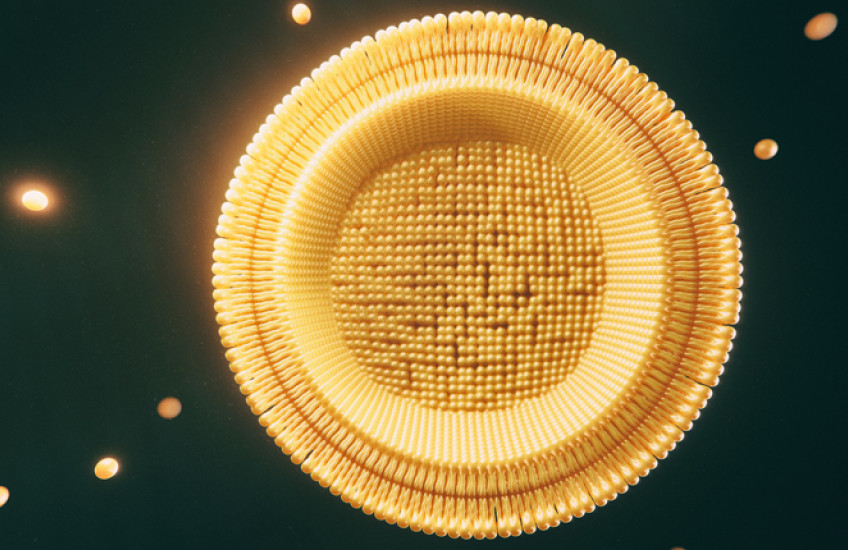 digital illustration of adipose tissue cell