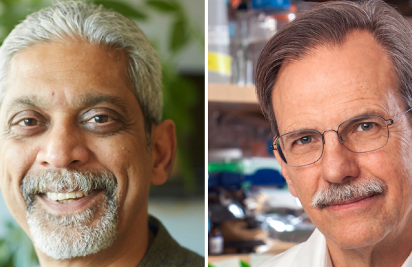 Image of Vikram Patel (left) and Tim Springer (right)