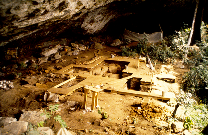 Archaeological excavation with boards set up over soil beneath a rock overhang