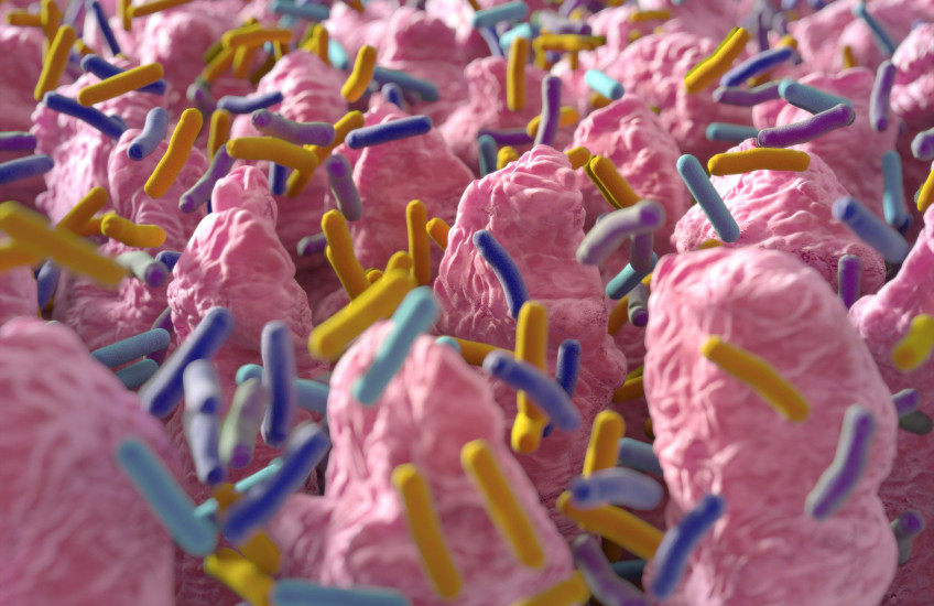 computer-generated illustration of bacteria