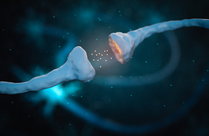 illustration of synapse