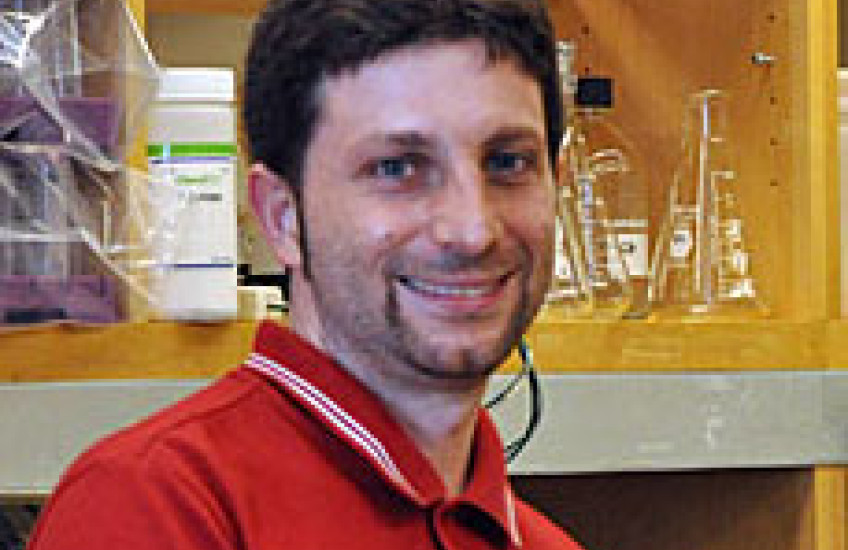 Nicola Segata