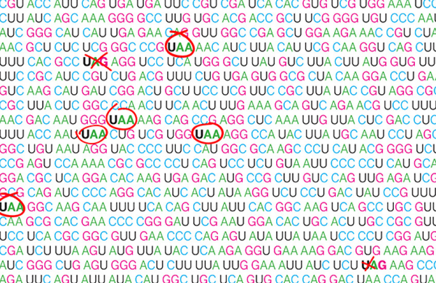 Proofreading Proteins