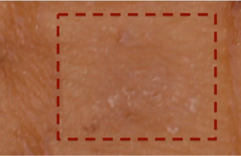 does melanotan permanently darken skin Tanning Peptides: Yay or Nay? main image 1
