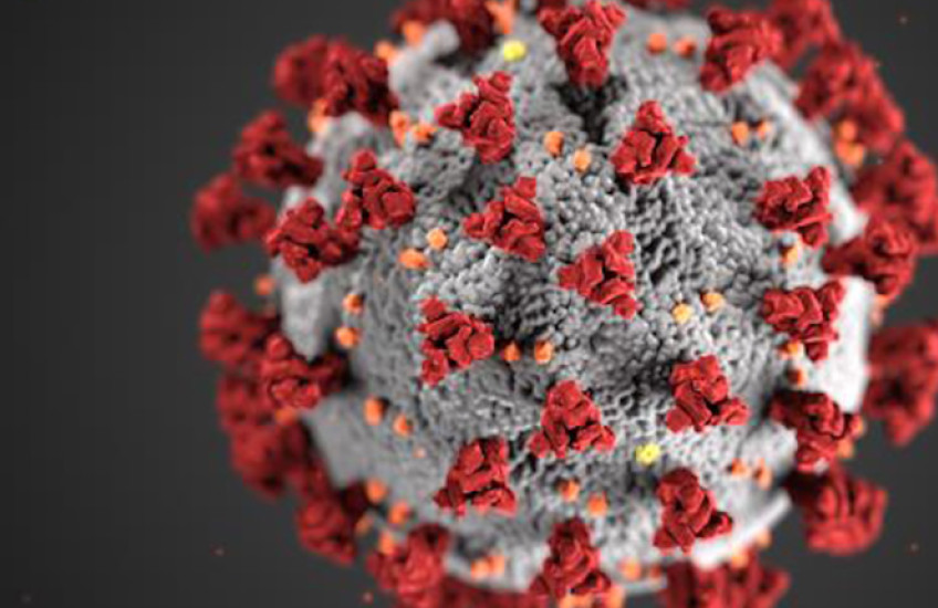 SARS-CoV-2 particle in gray with spikes studding surface in red, against a black background