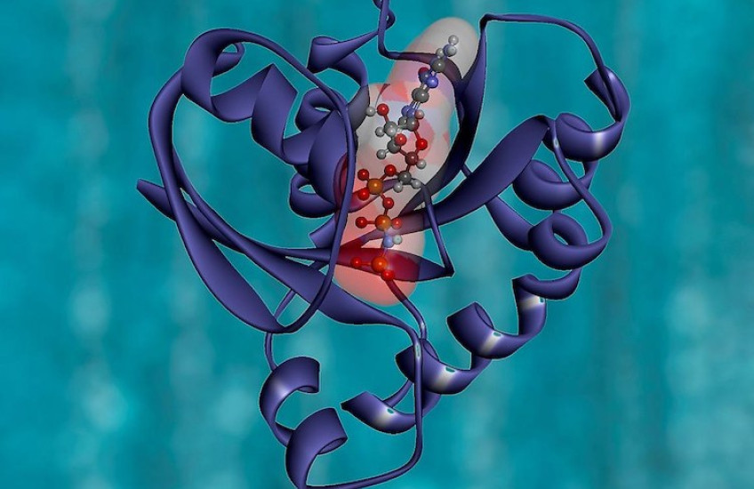 Illustration of KRAS protein