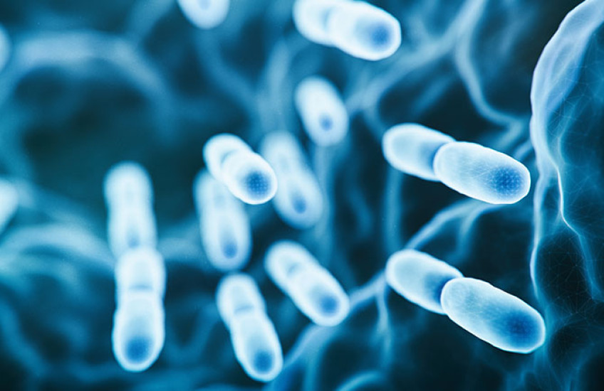 Digital art of an engineered probiotic bacteria