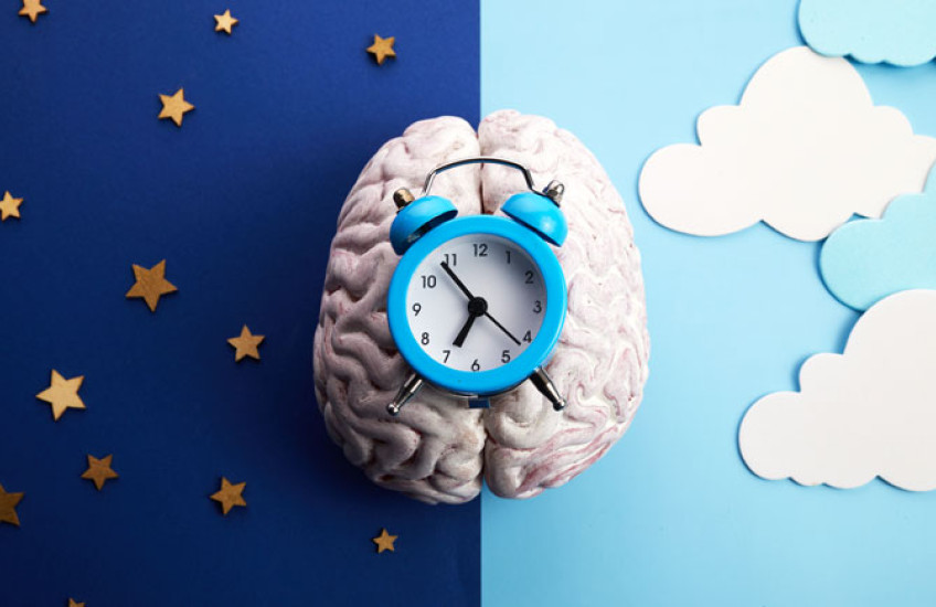 A stylized image of a brain under an alarm clock on a background that is half day and half night