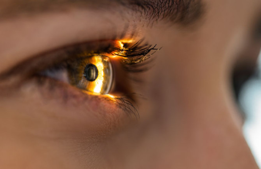 A close up of a human eye