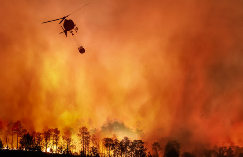 Firefighting helicopter dumping water to extinguish forest fire. Image: Toa55/istock/Getty Images Plus