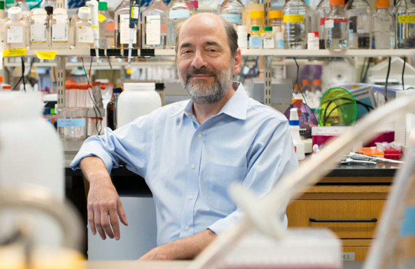 A photo of Greenberg sitting in his lab and leaning on a lab bench, surrounded by lab supplies
