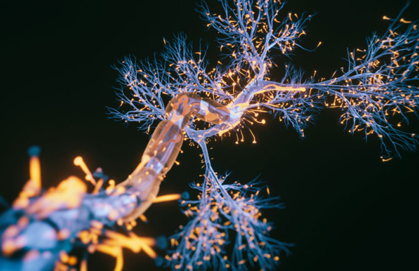 Neuron cell close-up view - 3d rendered image of Neuron cell on black background. SEM view interconnected neurons synapses. Abstract structure conceptual medical image. Synapse. Healthcare concept.