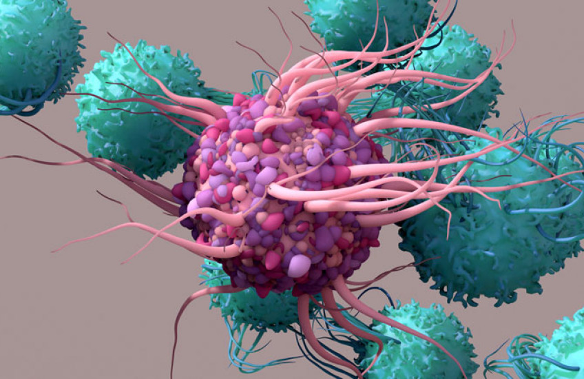 Illustration of a T cell 