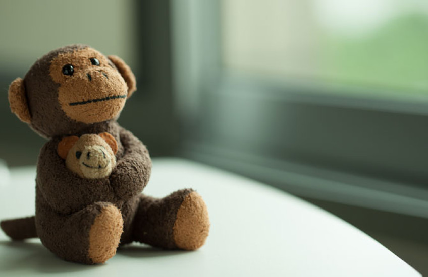 Photo of toy monkey holding a baby toy monkey