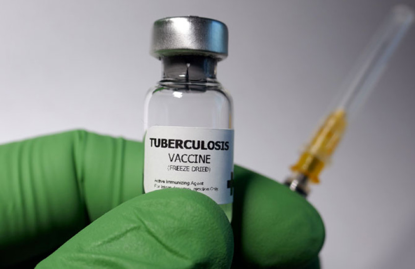 Photo of a gloved hand holding a vial of TB vaccine and a syringe 