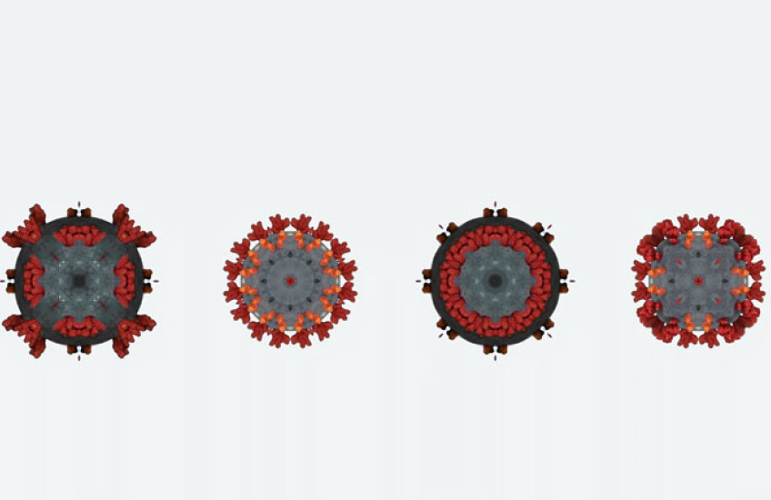 A row of four stylized virus drawings, each slightly different in appearance