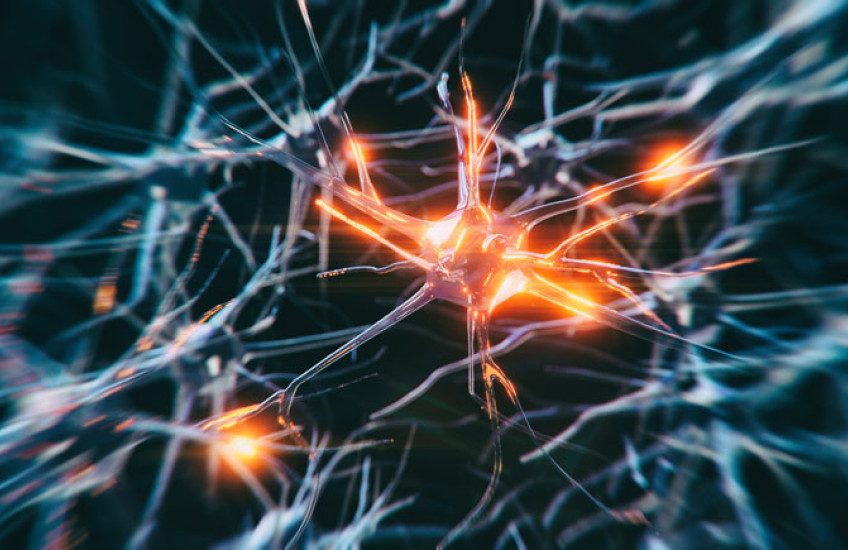 A close up of a network of dark blue neurons on a black background, with spots of glowing orange
