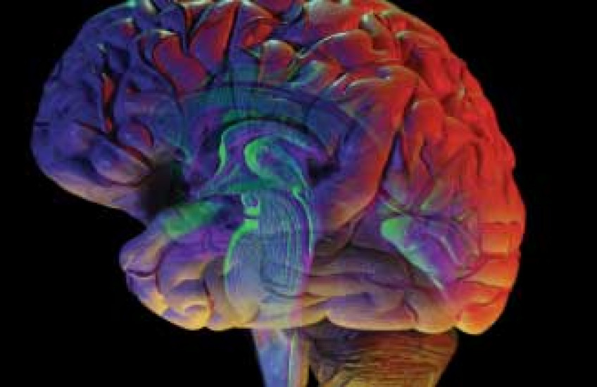 Colorful brain graphic 