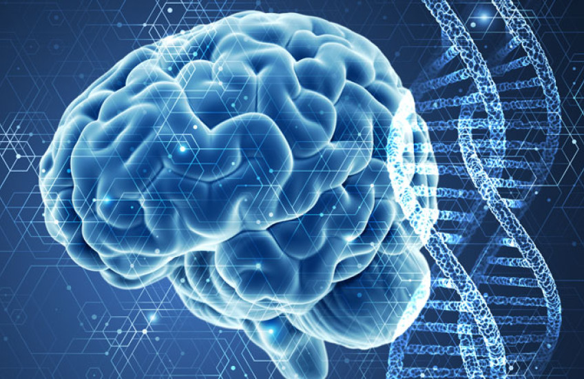 A stylized blue image of a human brain next to a vertical DNA double helix