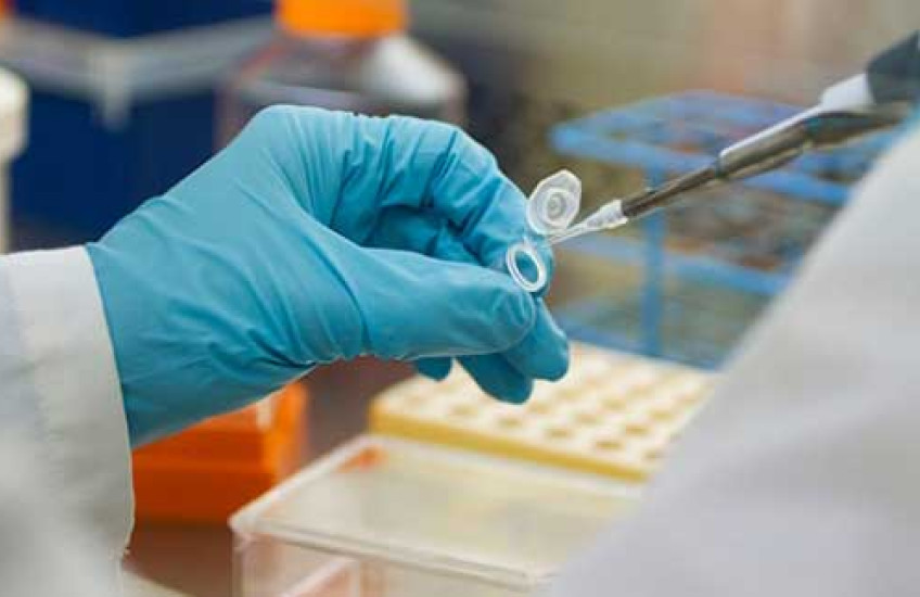 Gloved hands using pipette, test tube 