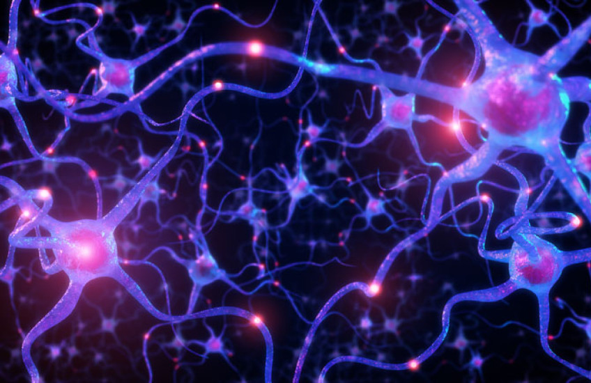 A purple network of neurons lit up in different spots