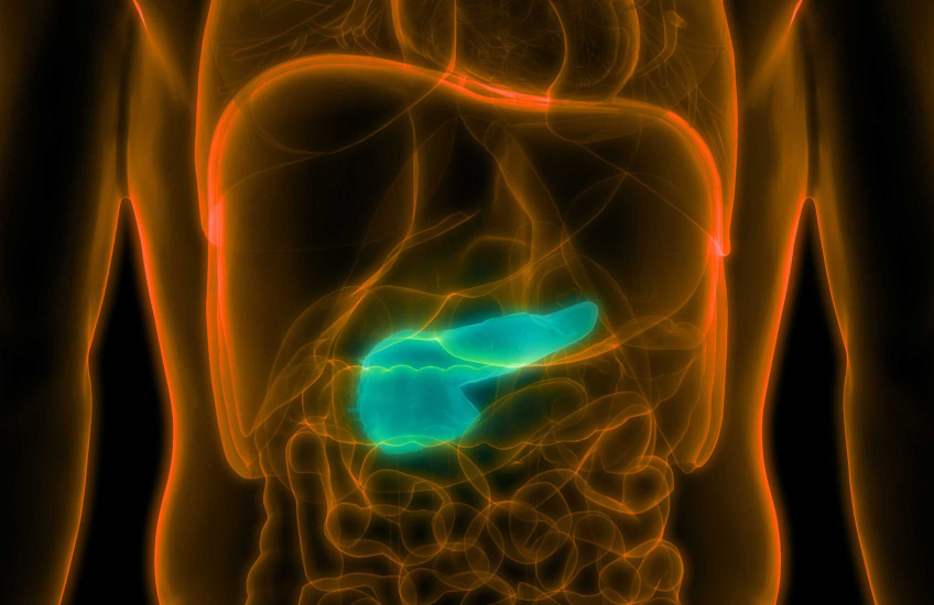 Artist's depiction of a pancreas inside a body