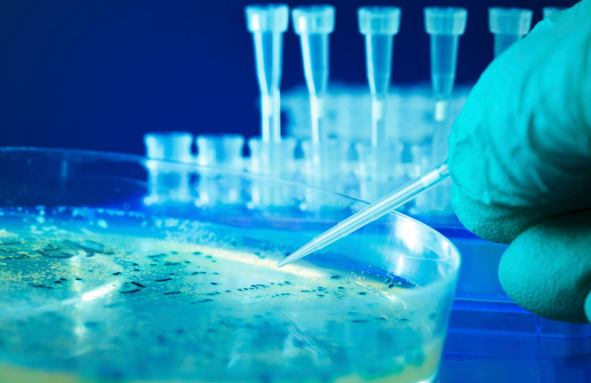 Stock image of a gloved hand working with a Petri dish, test tubes in the background
