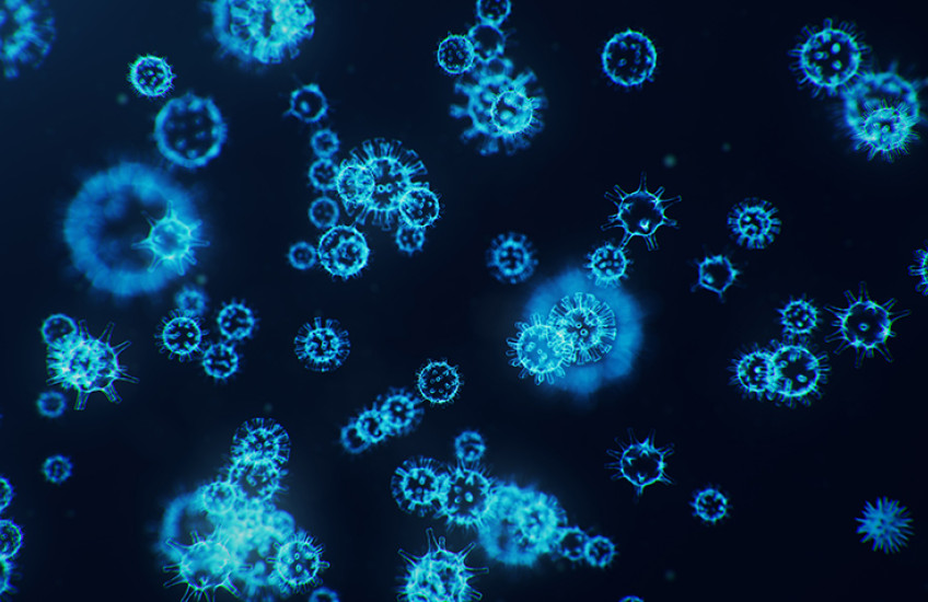 coronavirus