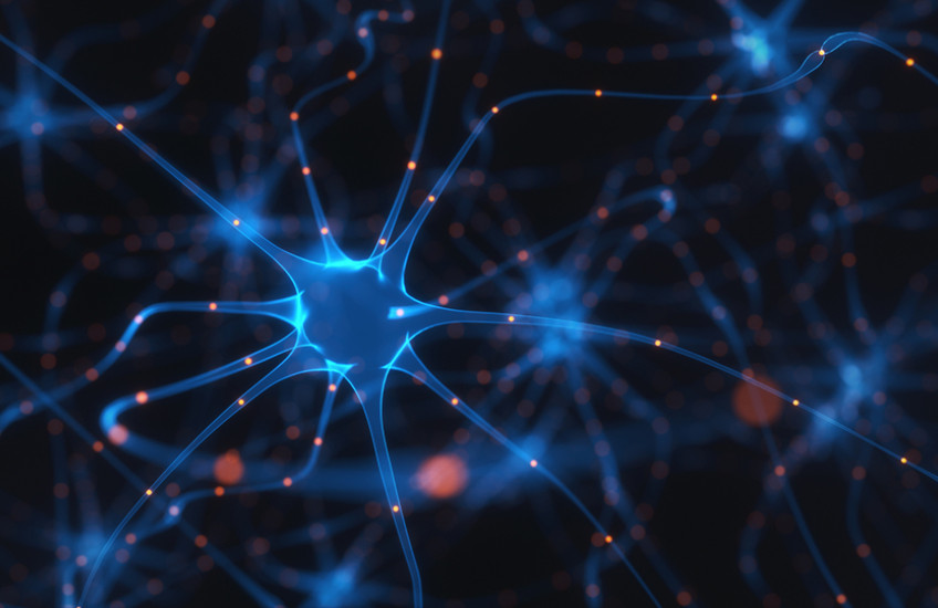 neuron